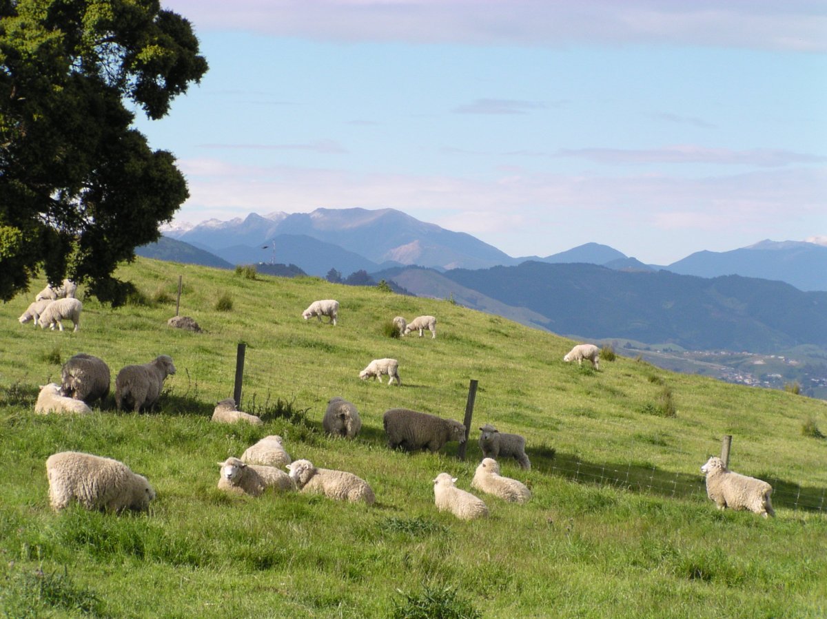Pastoral Care One Path