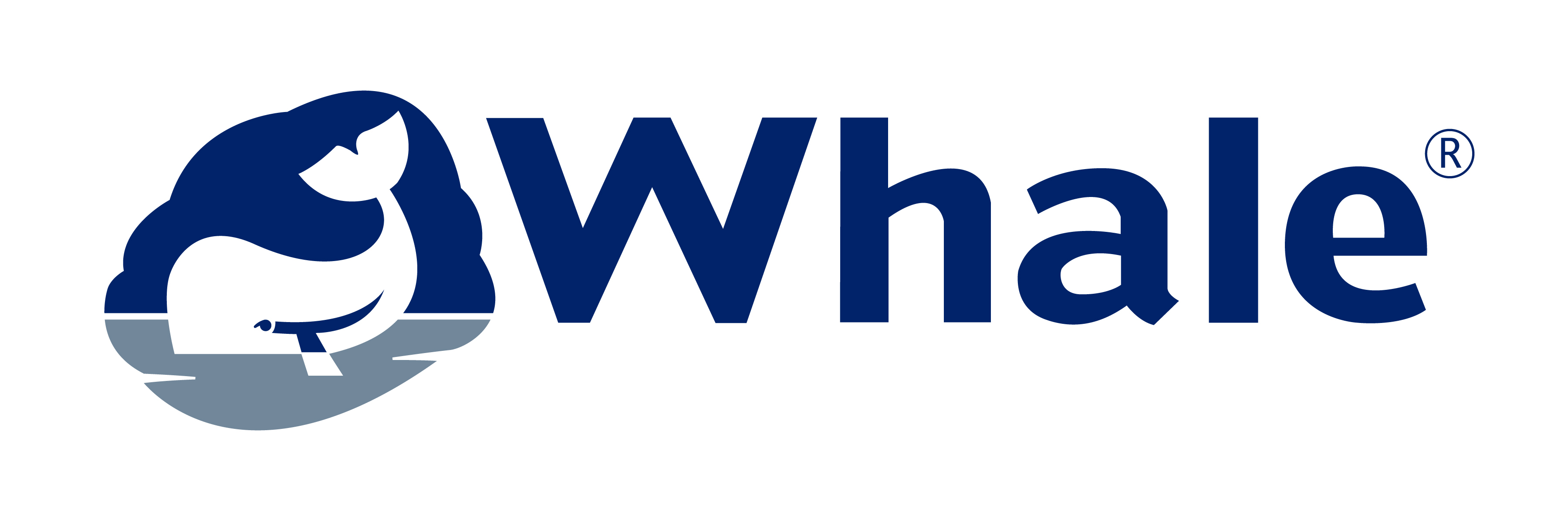 Find out how we helped Whale in our case study OnePLM