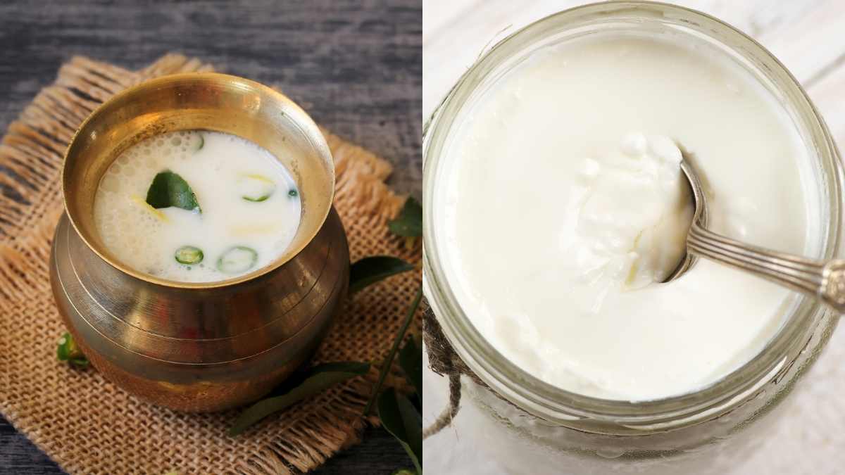 Buttermilk vs Heavy Creme Difference Between Infographic