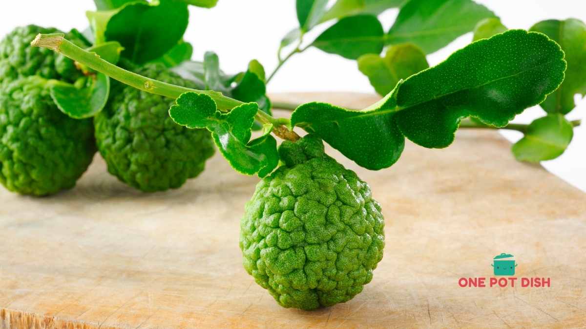 Substitute for Kaffir Lime Leaves A Chefs Guide