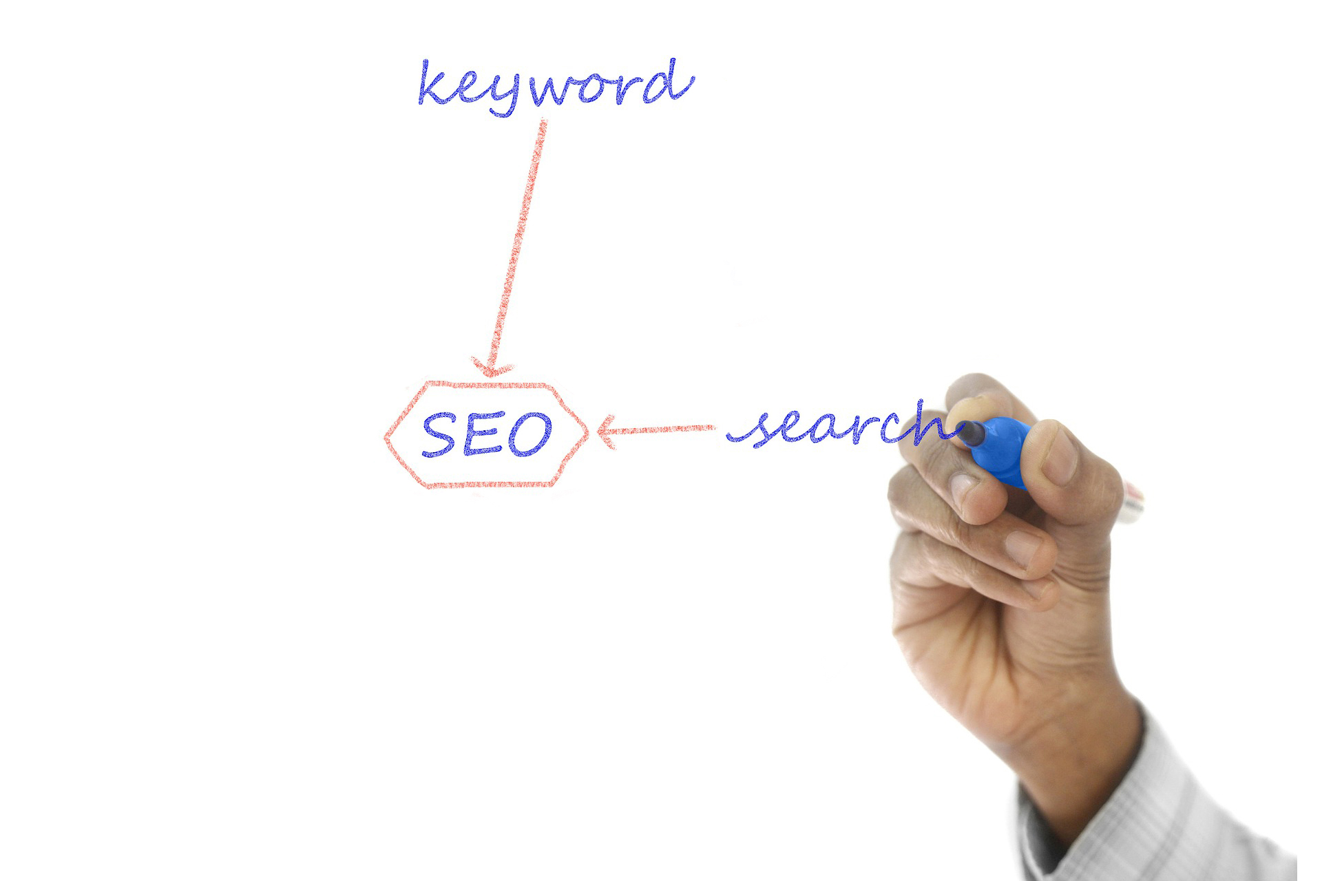A Guide to Keyword Search Volume for Marketing Beginners One SEO