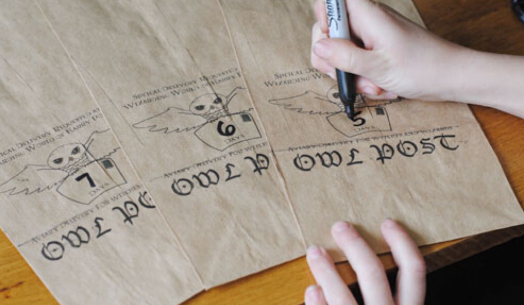 Surprise Universal Studios Trip Reveal Idea Harry Potter Owl Post!