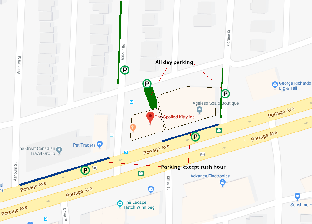 Parking One Spoiled Kitty inc