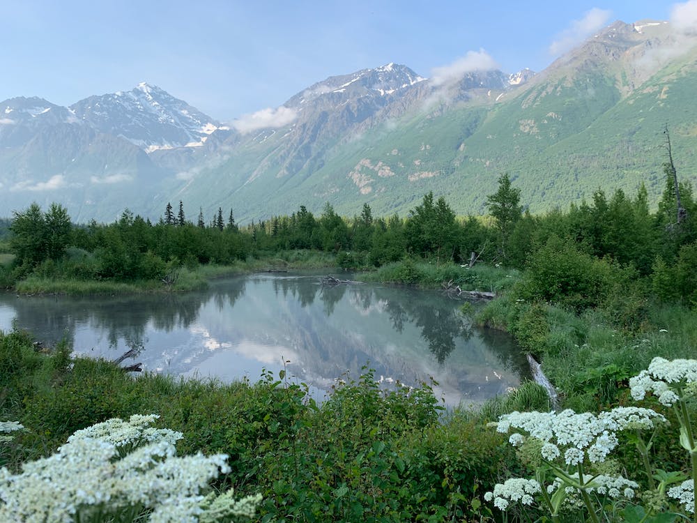 The Most Compelling Reasons To Move To Alaska