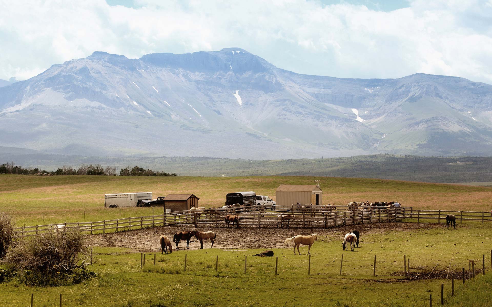 Ranch oder Farmstay in Calgary, Kanada