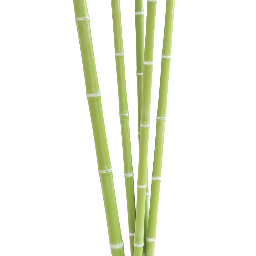 Green Bamboo Stick