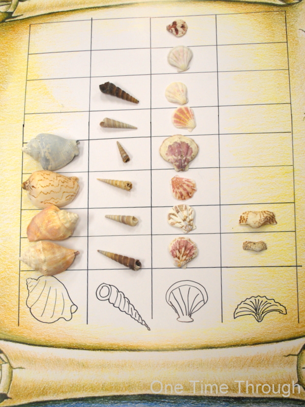 Ocean Shells Art and Math One Time Through