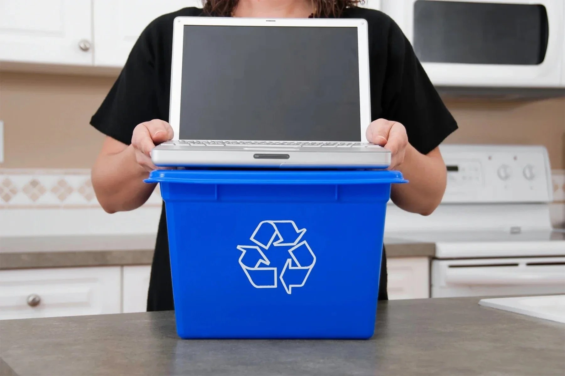 8 EcoFriendly Fundraising Ideas for Kids One Tree Planted