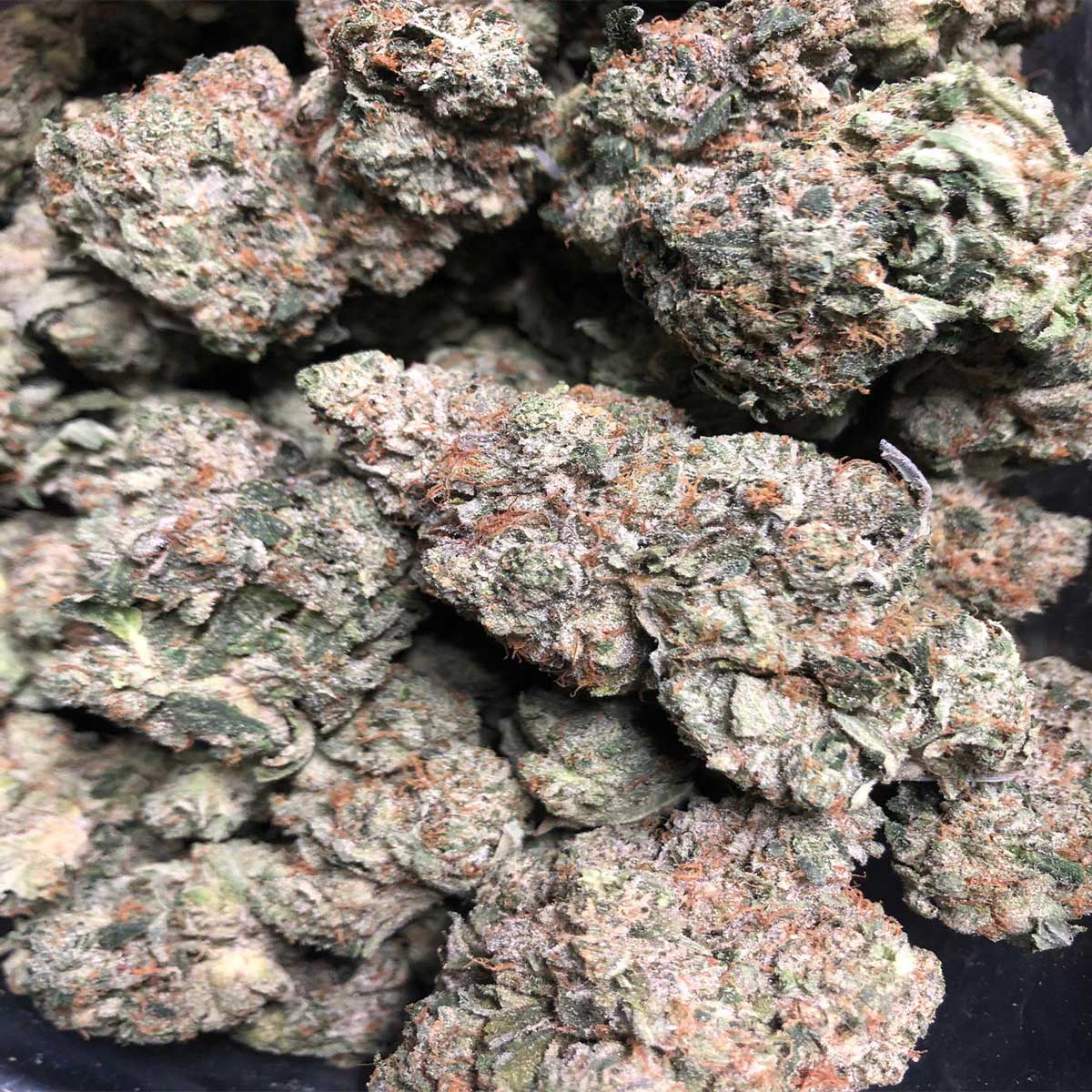 Buy Bulk | Rockstar Online - One Two Treez