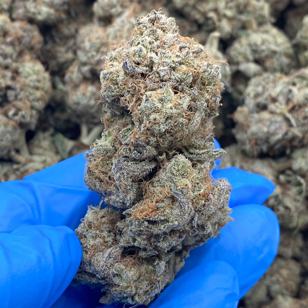 Buy Bulk Platinum Cookies Online One Two Treez