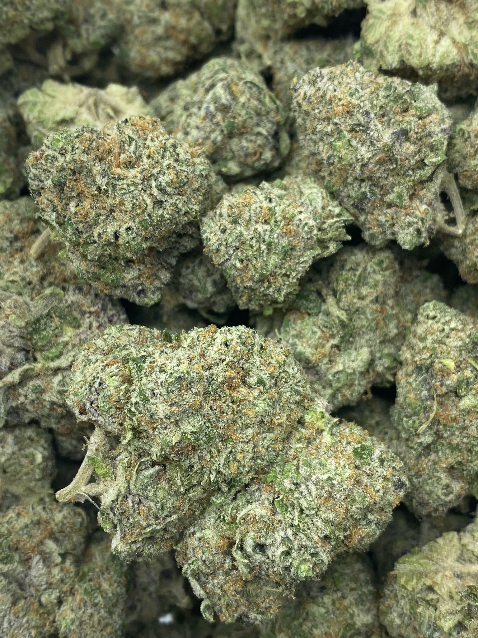 Buy Bulk Ice Cream Cake Online One Two Treez