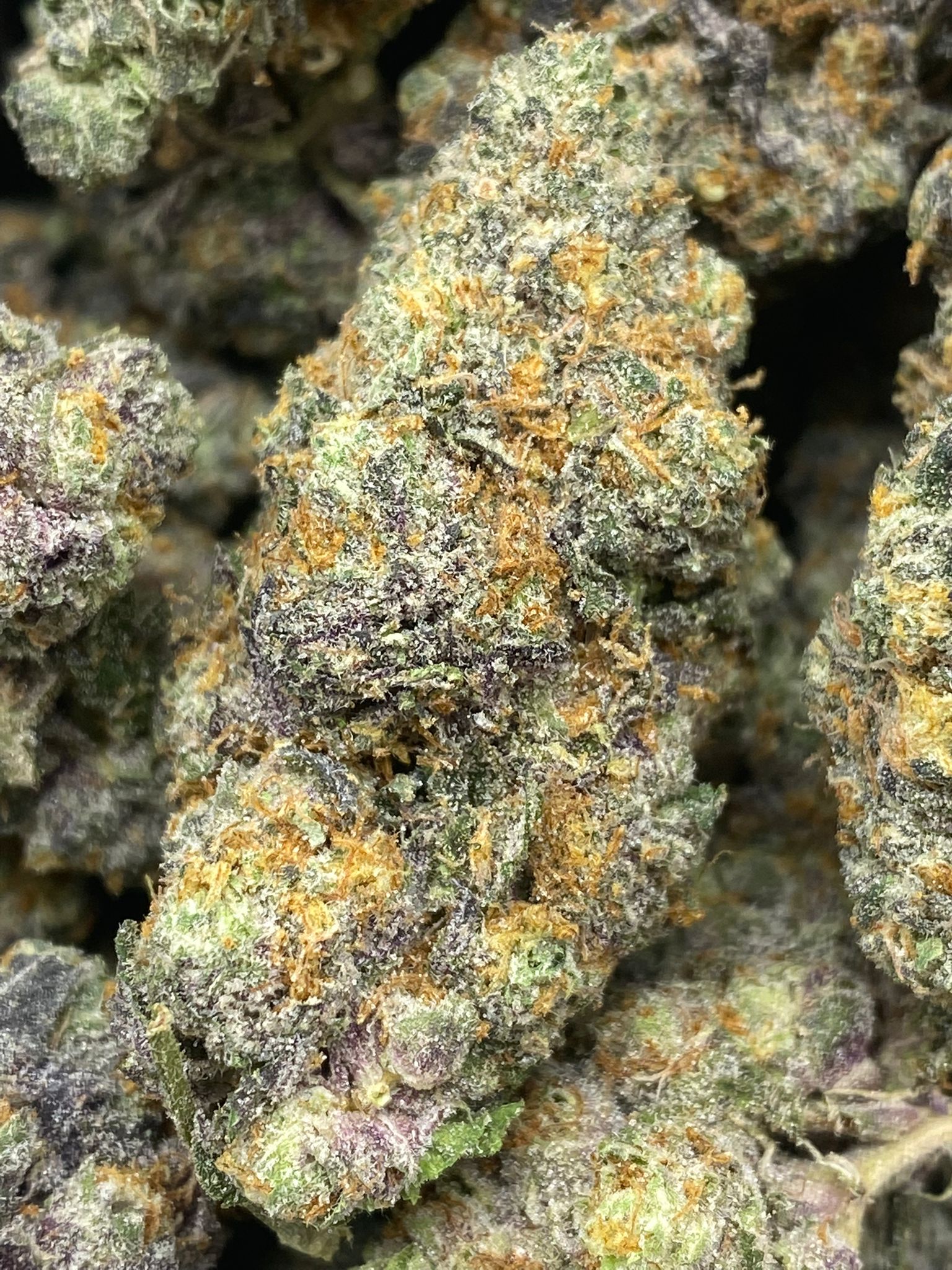 Buy Bulk Garlic Runtz Online One Two Treez