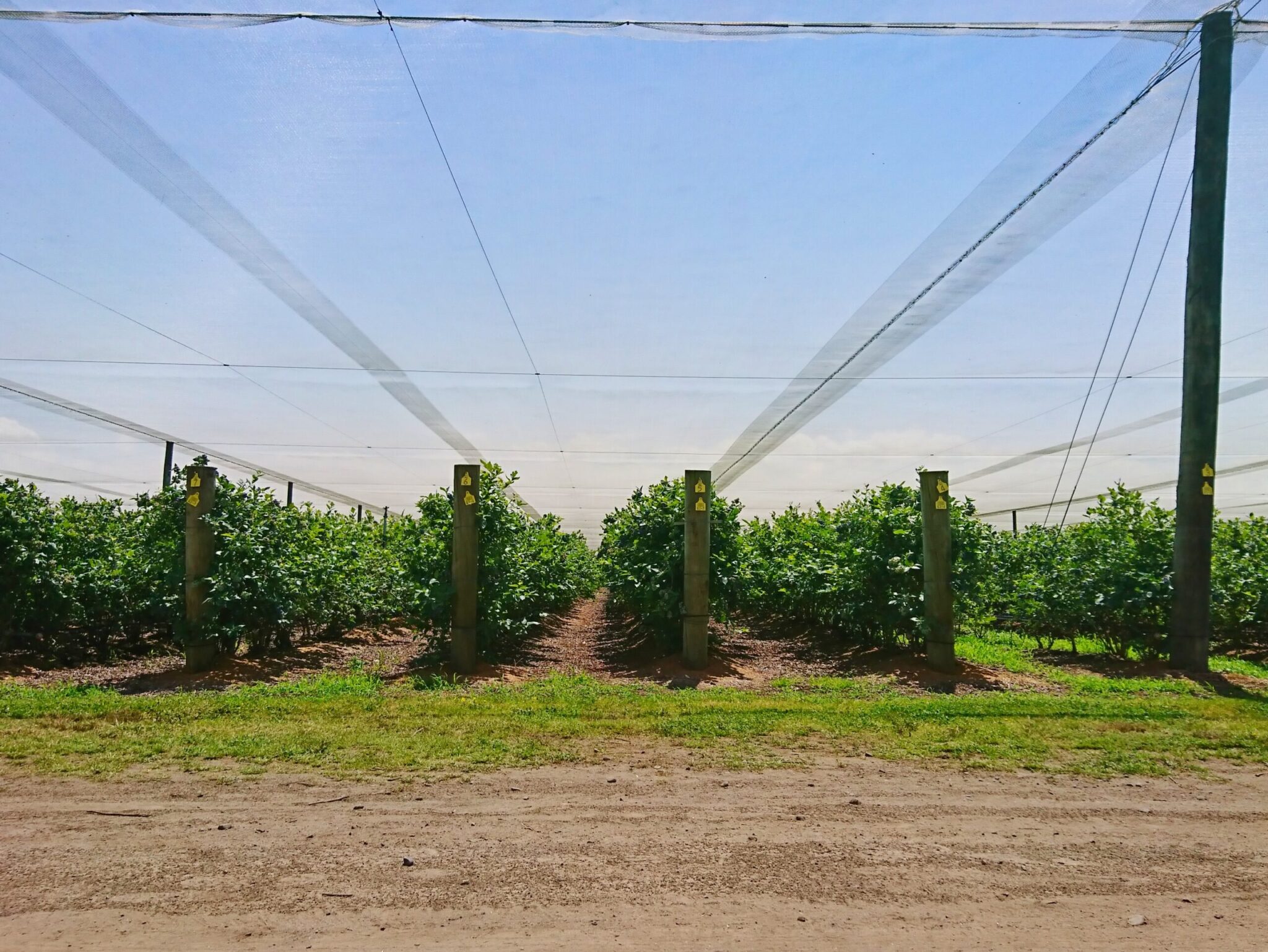 How to file for taxes in New Zealand? OneWayTicketz