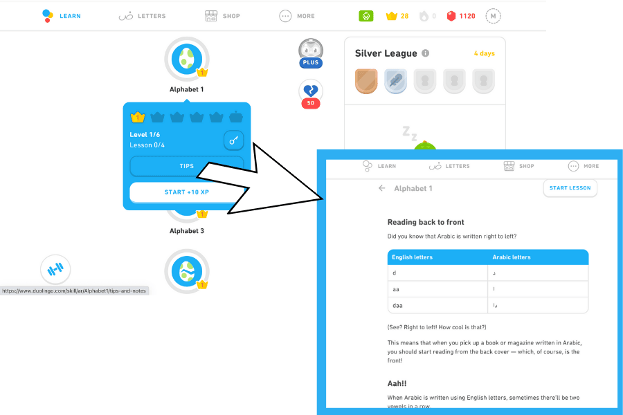My Review of Duolingo, the Application to Learn a Language for Free