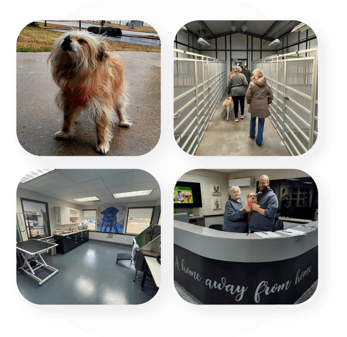 One World Pet Resort