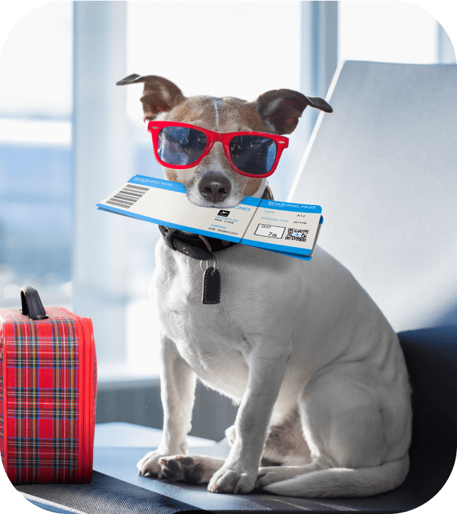 One World Pet Resort