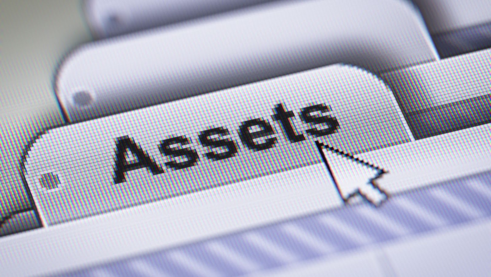 The Differences Between Assets and Equity One World Plate