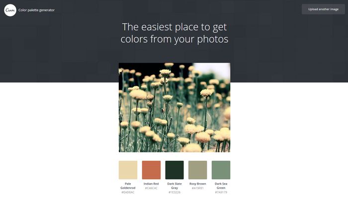 20 Best Color Palette Generators and Galleries for Designers (2019)