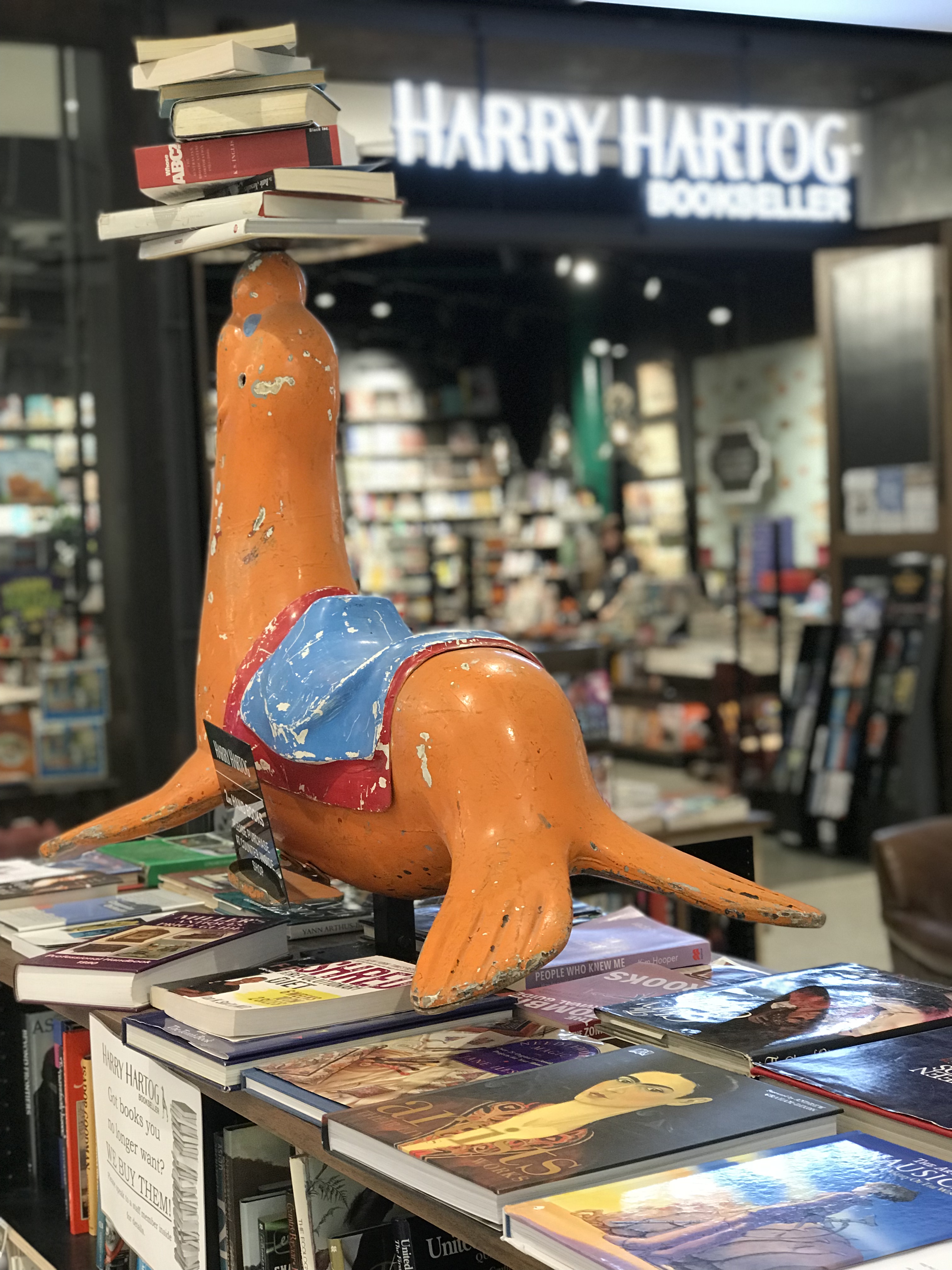 5 Fabulous Books About Ali Stegert