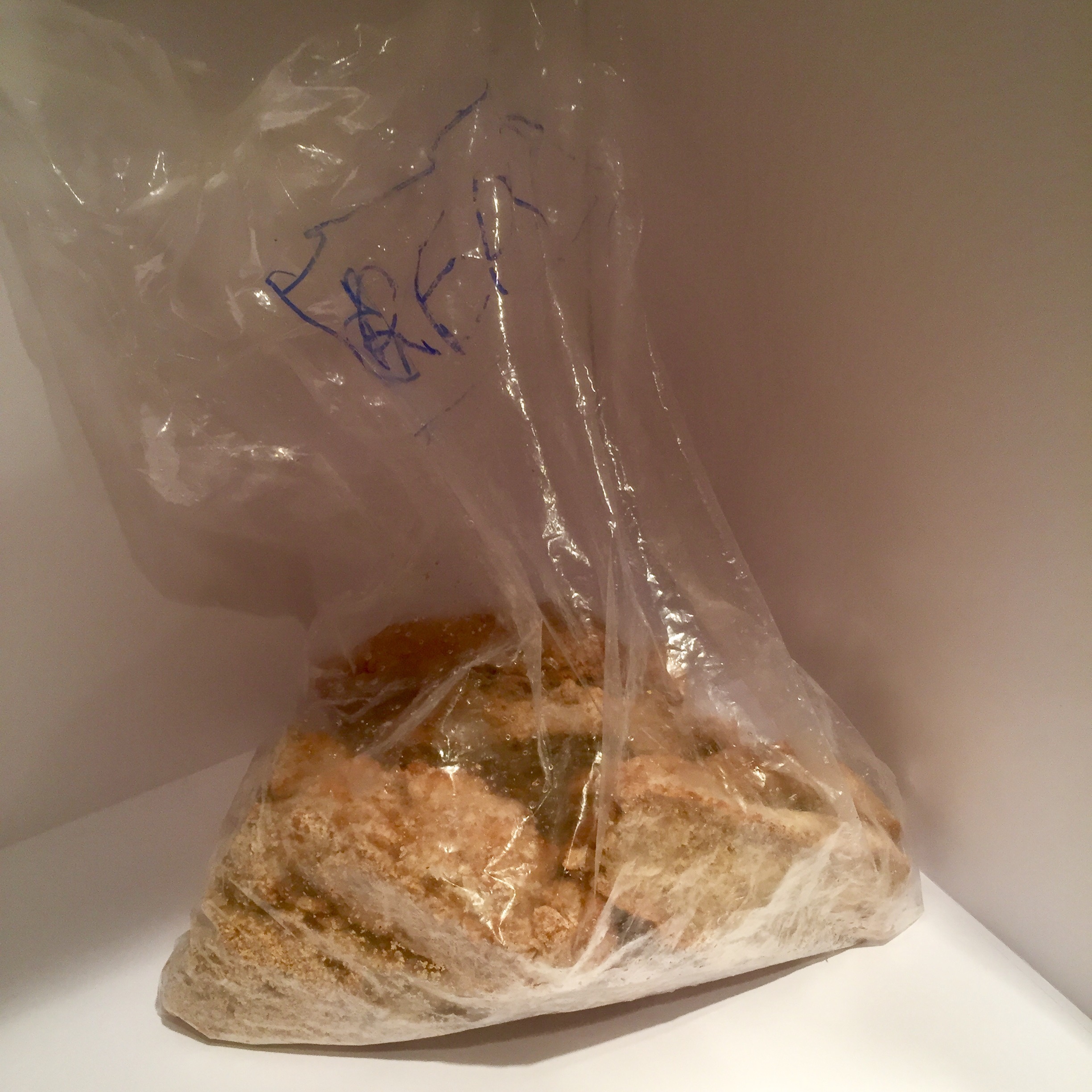 Freezing Food One Year Zero Plastic