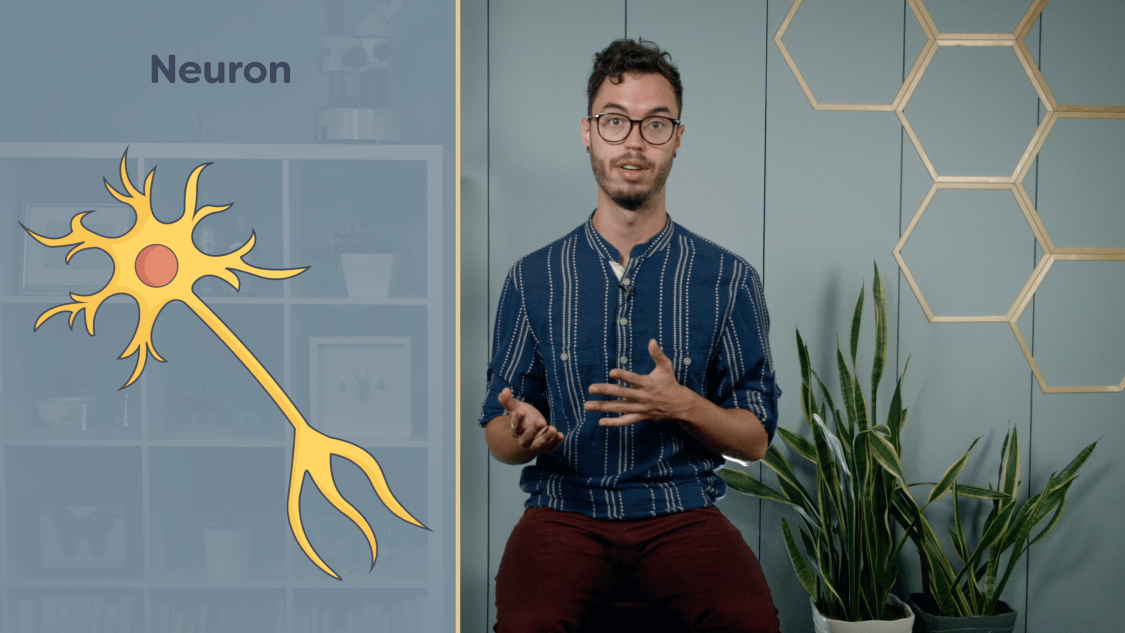 Onlea Bugs 101 InsectHuman Interactions University of Alberta