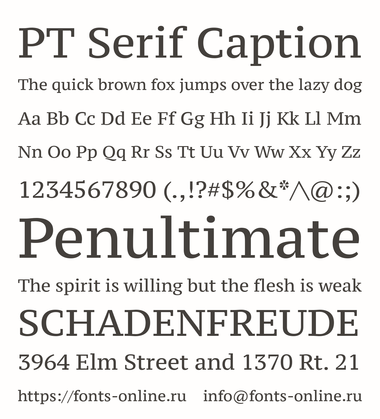 PT Serif Caption font