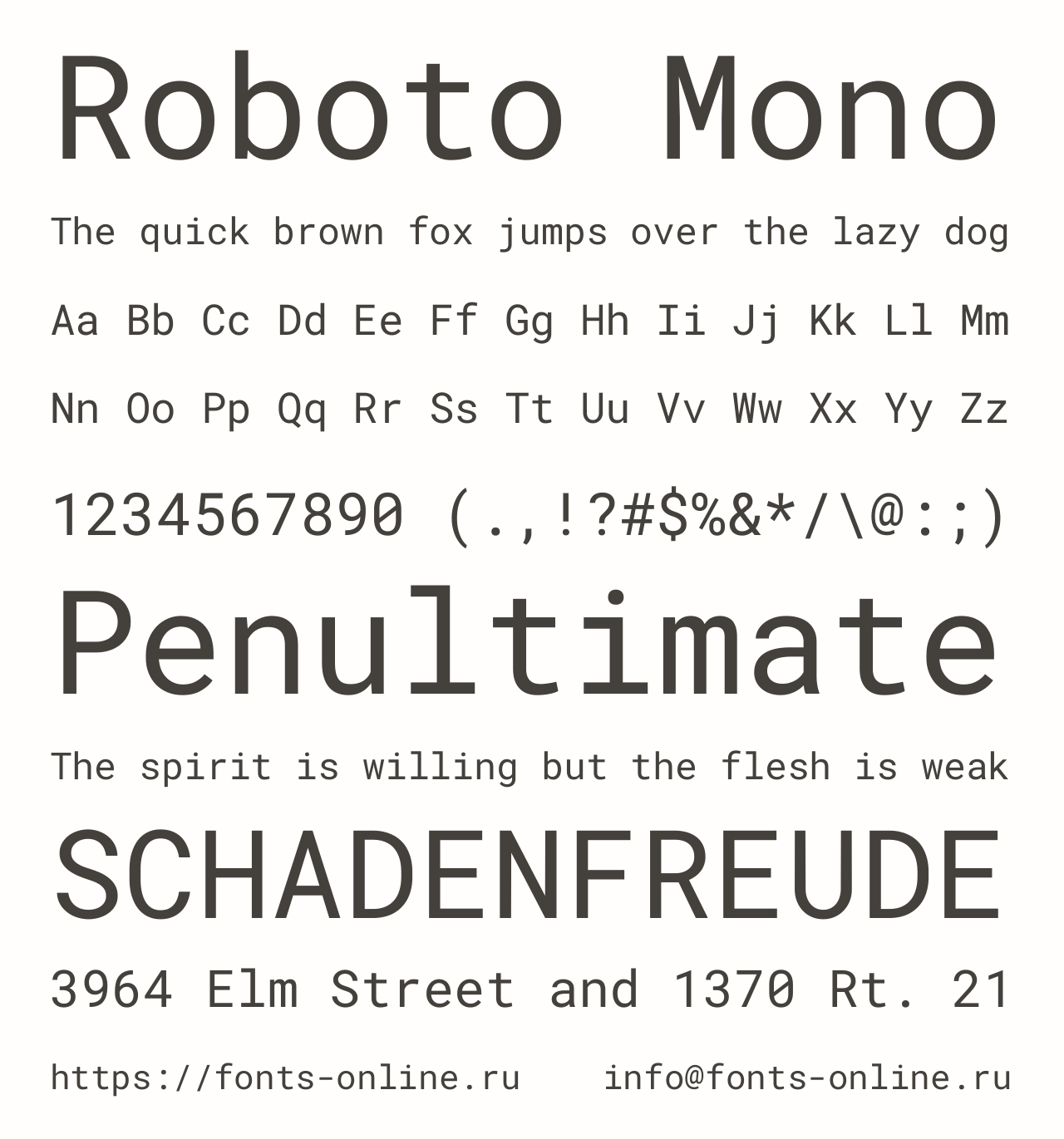 Roboto Mono font