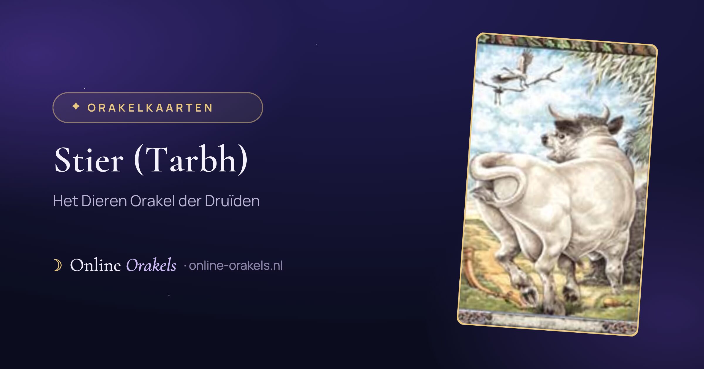 Stier (Tarbh) Het Dieren Orakel der Druïden Online Orakels