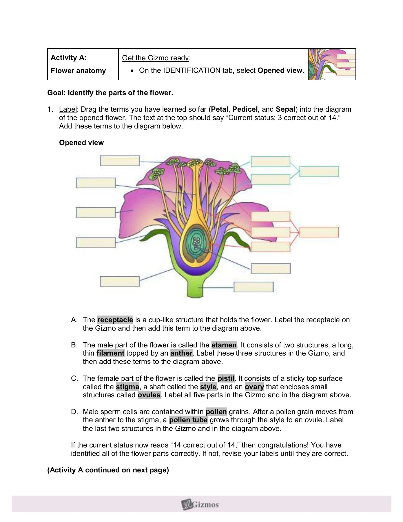 Flower Pollination Gizmo Quiz Answers Best Flower Site