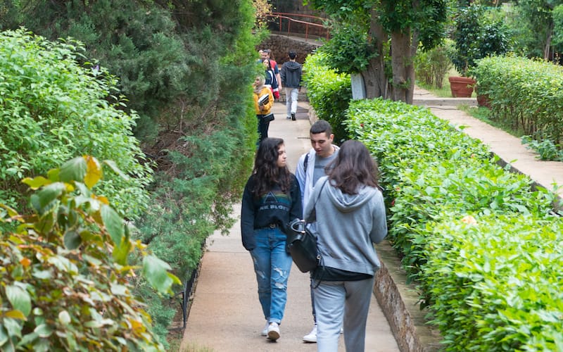 AI & Data Science Certificate Online Lebanese American University