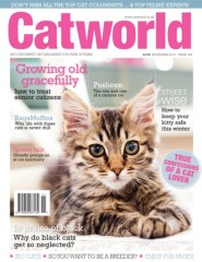 They are always on hand to answer any questions or queries you may have. Cat464 Flip Book Pages 1 50 Pubhtml5