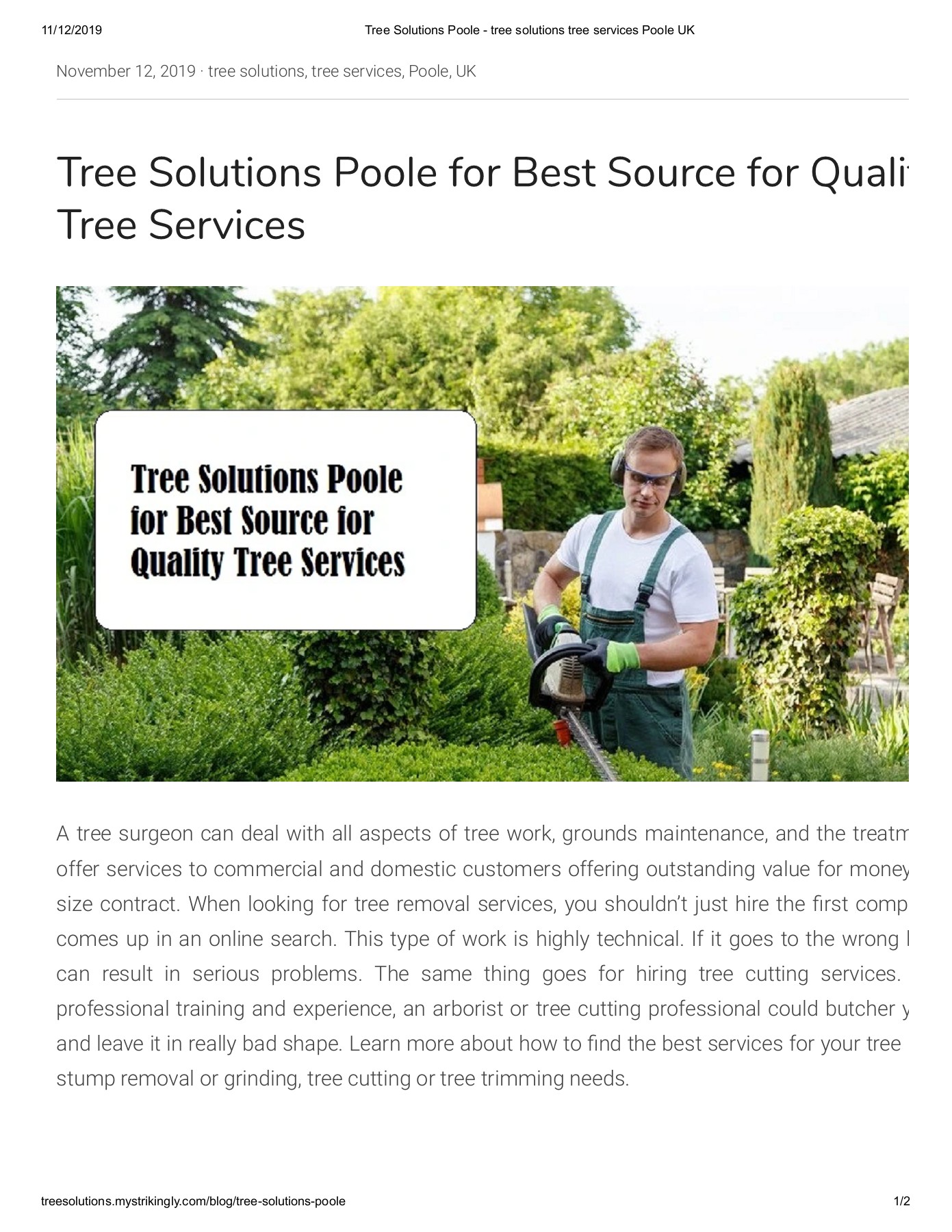 Tree Solutions Poole for Best Source for Quality Tree Services