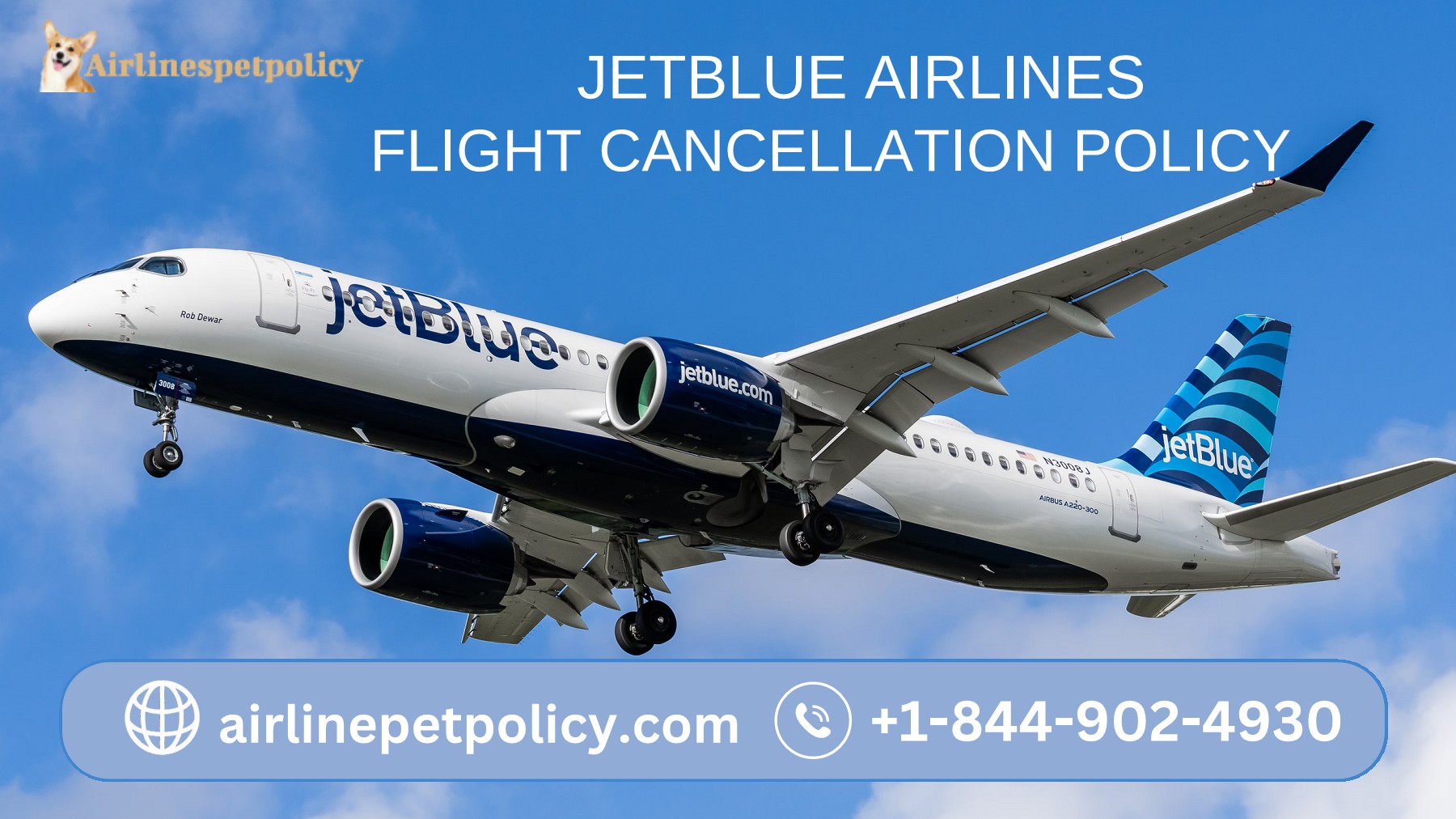 Jetblue Airlines Flight Cancellation Policy airlinespetpolicyofficial