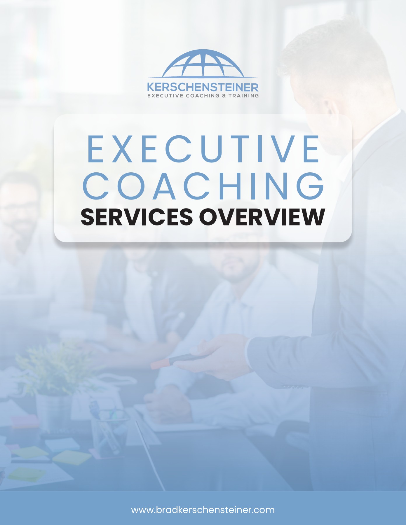 EXECUTIVE COACHING SERVICES OVERVIEW Mahbub Alam Ovi Page 1 7