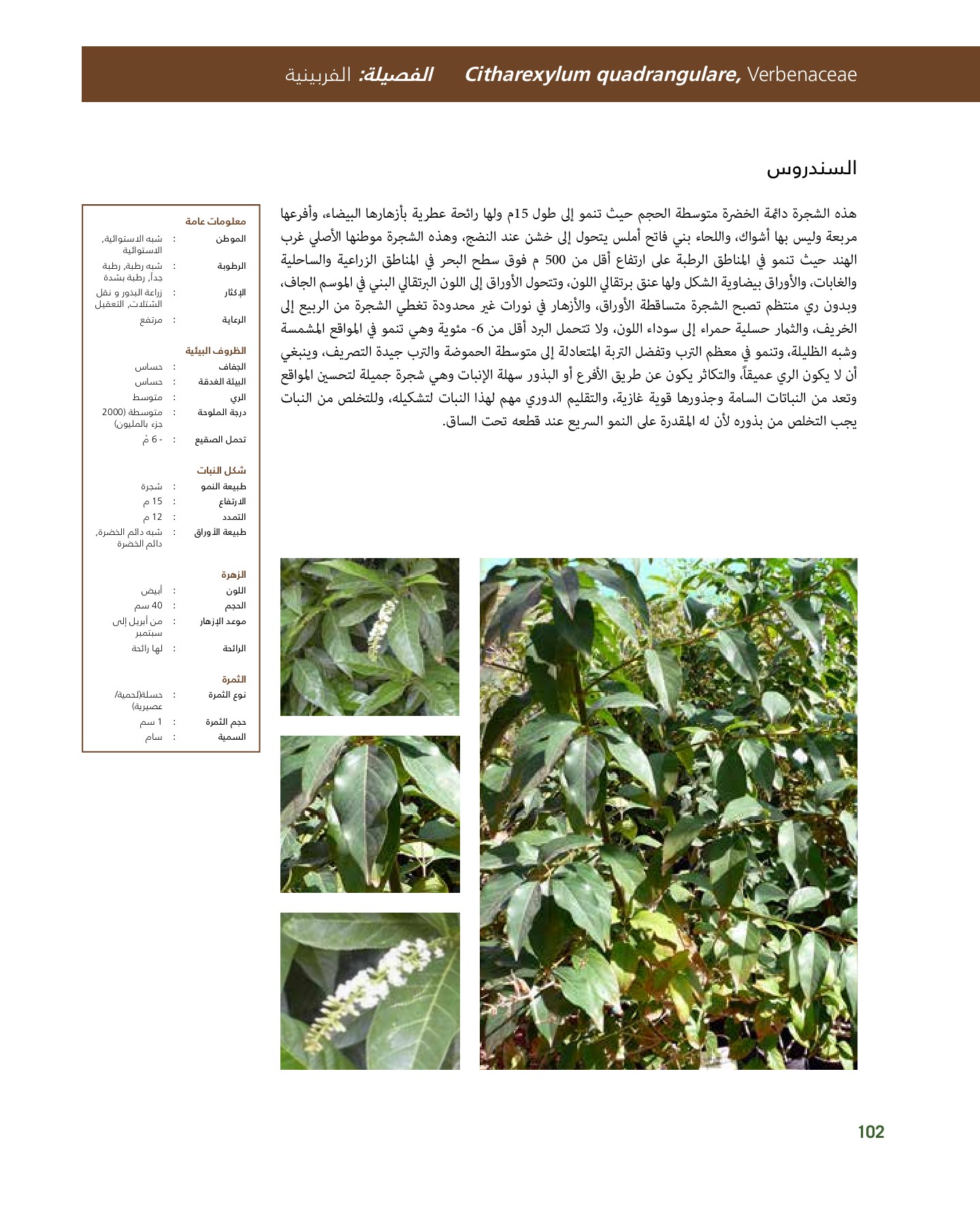 RiyadhPlantsManualAr Ci Oy الصفحة 103 PDF على الإنترنت