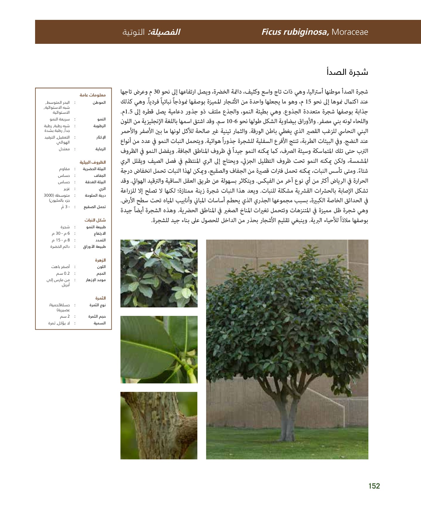 RiyadhPlantsManualAr Ci Oy الصفحة 153 PDF على الإنترنت