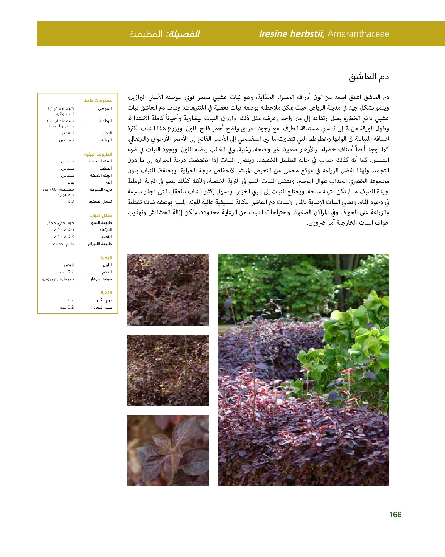 RiyadhPlantsManualAr Ci Oy الصفحة 167 PDF على الإنترنت