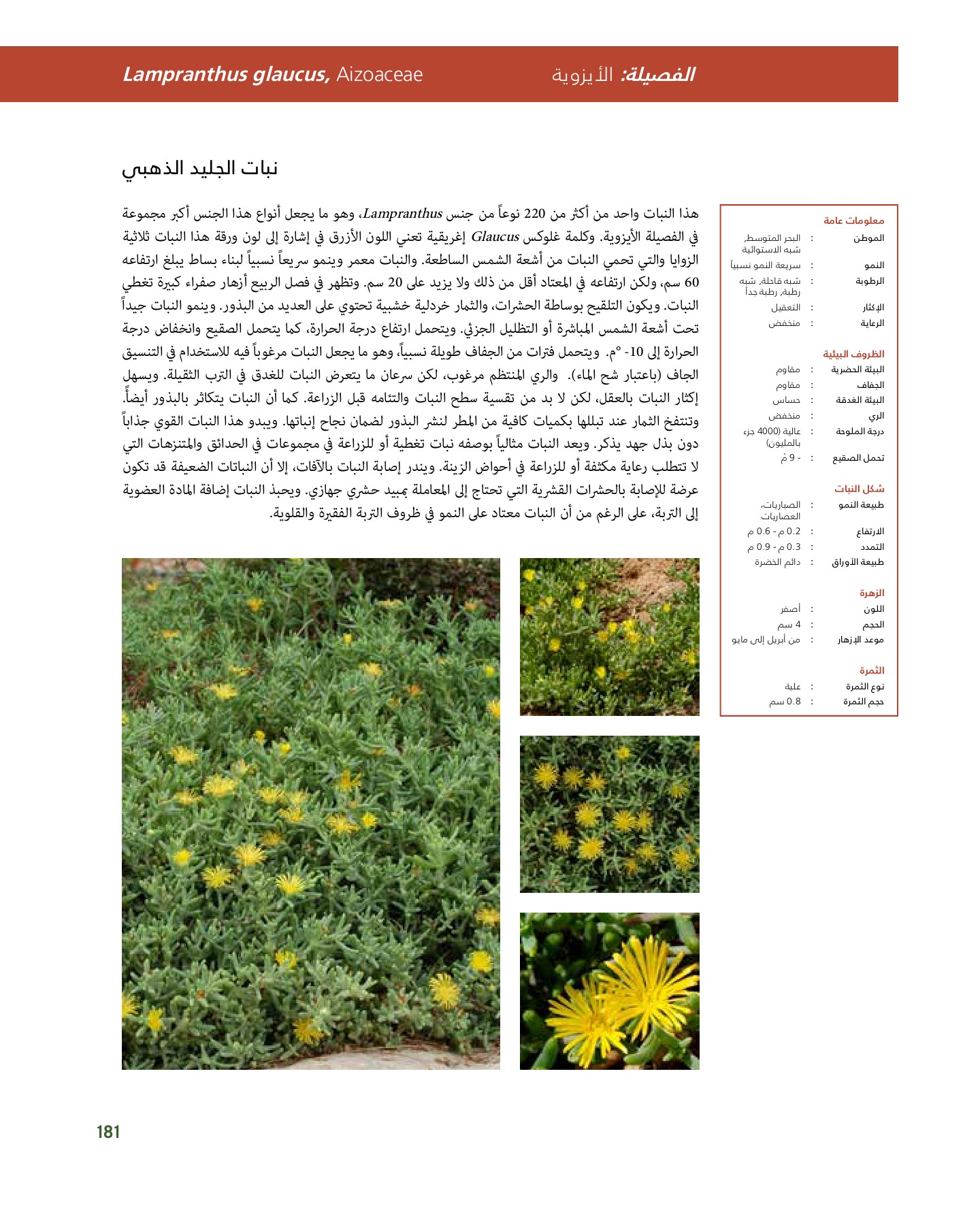 RiyadhPlantsManualAr Ci Oy الصفحة 182 PDF على الإنترنت