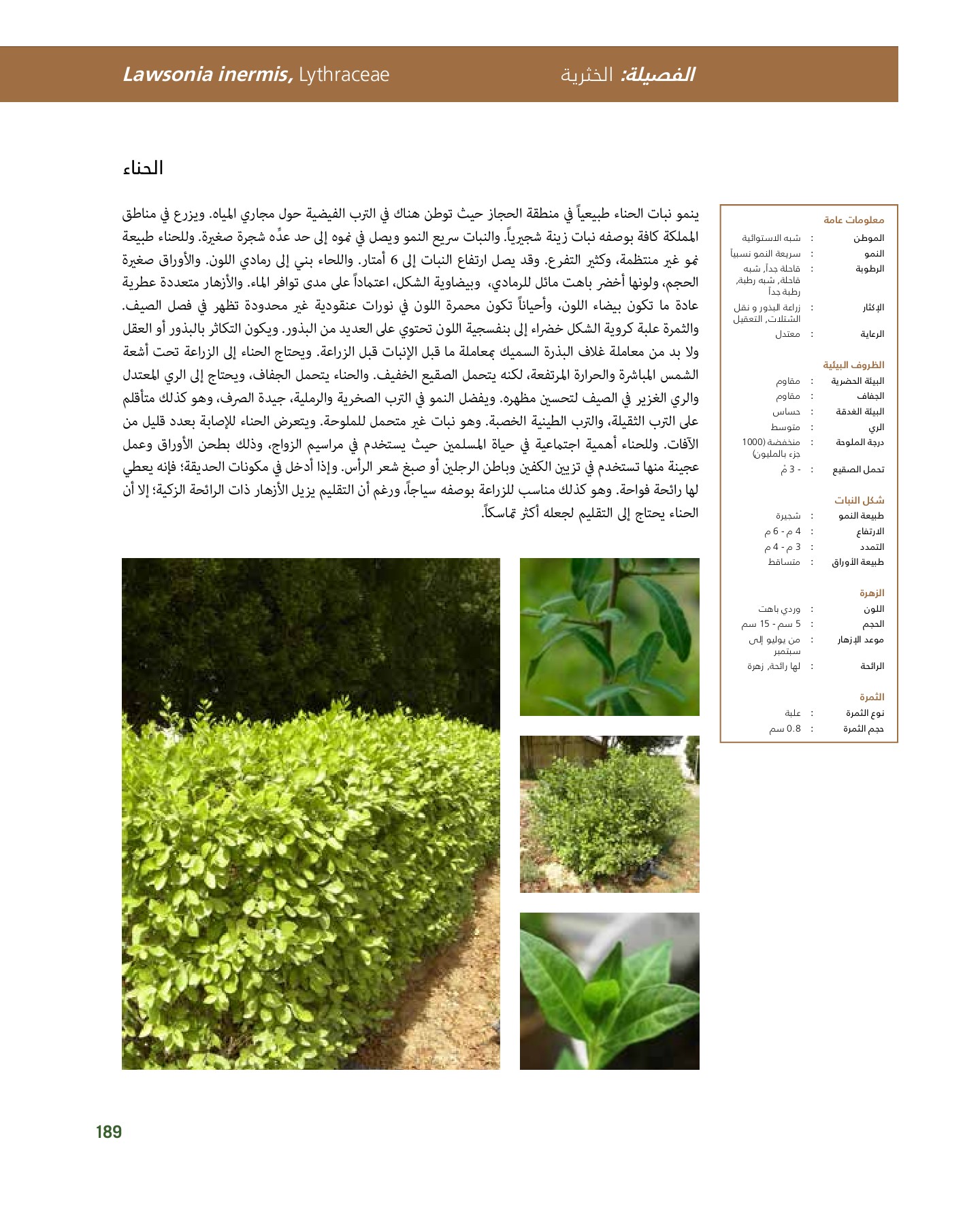 RiyadhPlantsManualAr Ci Oy الصفحة 190 PDF على الإنترنت