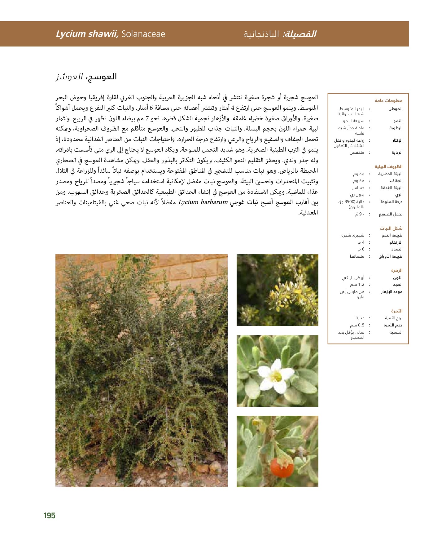 RiyadhPlantsManualAr Ci Oy الصفحة 196 PDF على الإنترنت
