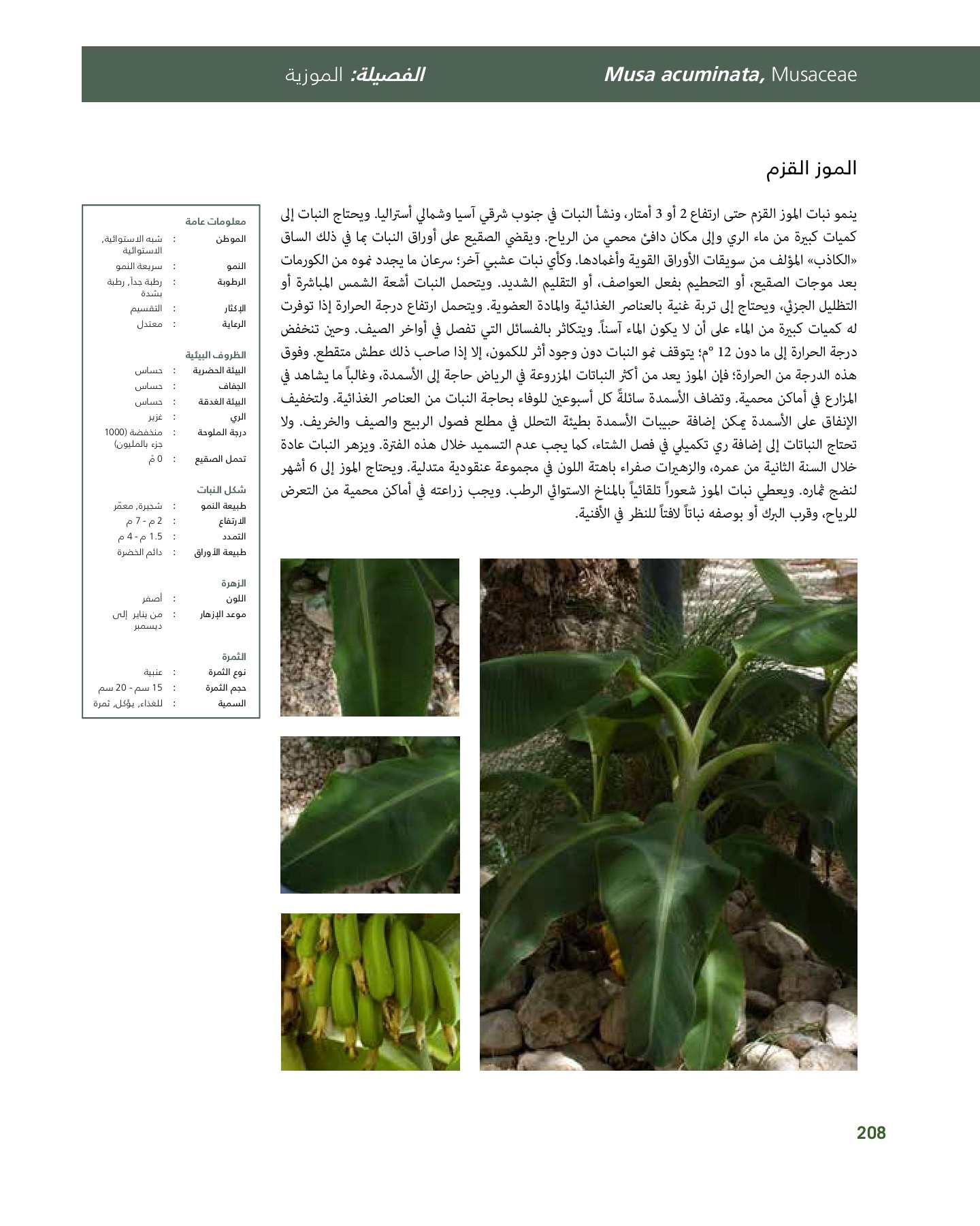 RiyadhPlantsManualAr Ci Oy الصفحة 209 PDF على الإنترنت