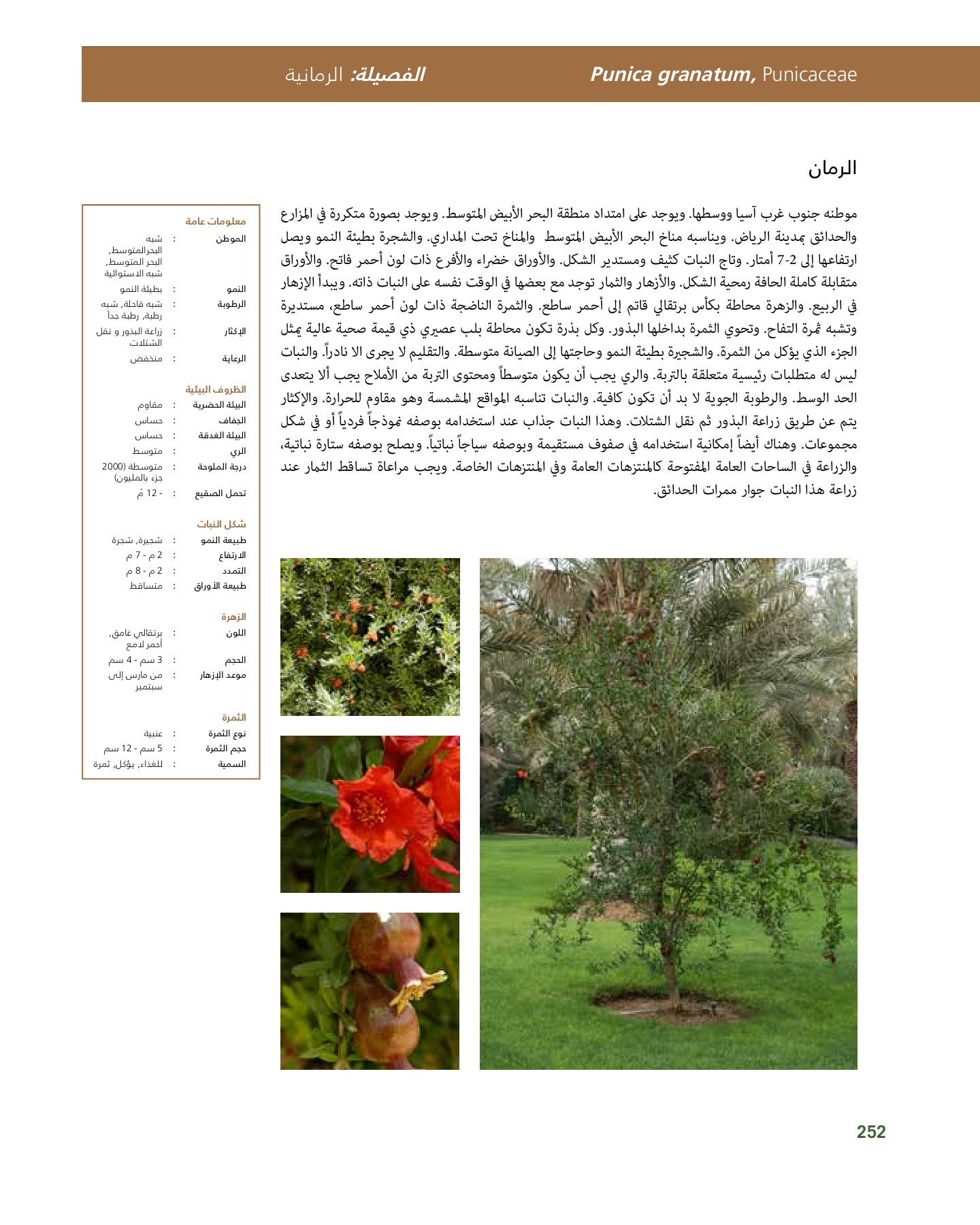 RiyadhPlantsManualAr Ci Oy الصفحة 253 PDF على الإنترنت