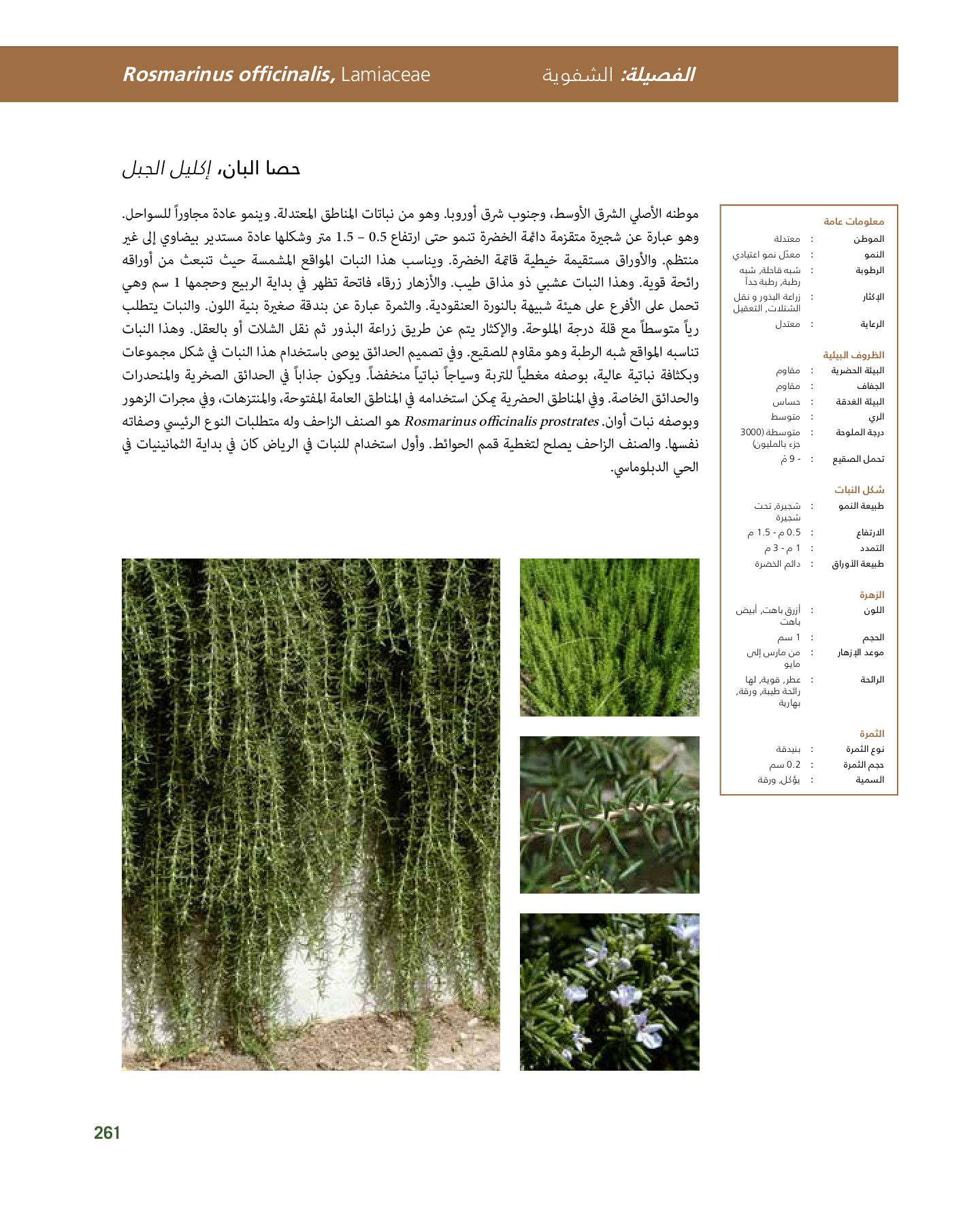 RiyadhPlantsManualAr Ci Oy الصفحة 262 PDF على الإنترنت