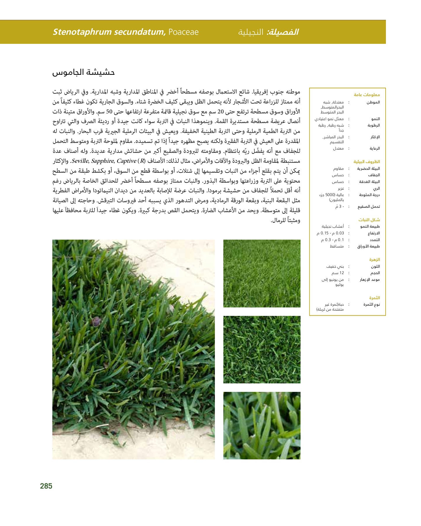 RiyadhPlantsManualAr Ci Oy الصفحة 286 PDF على الإنترنت