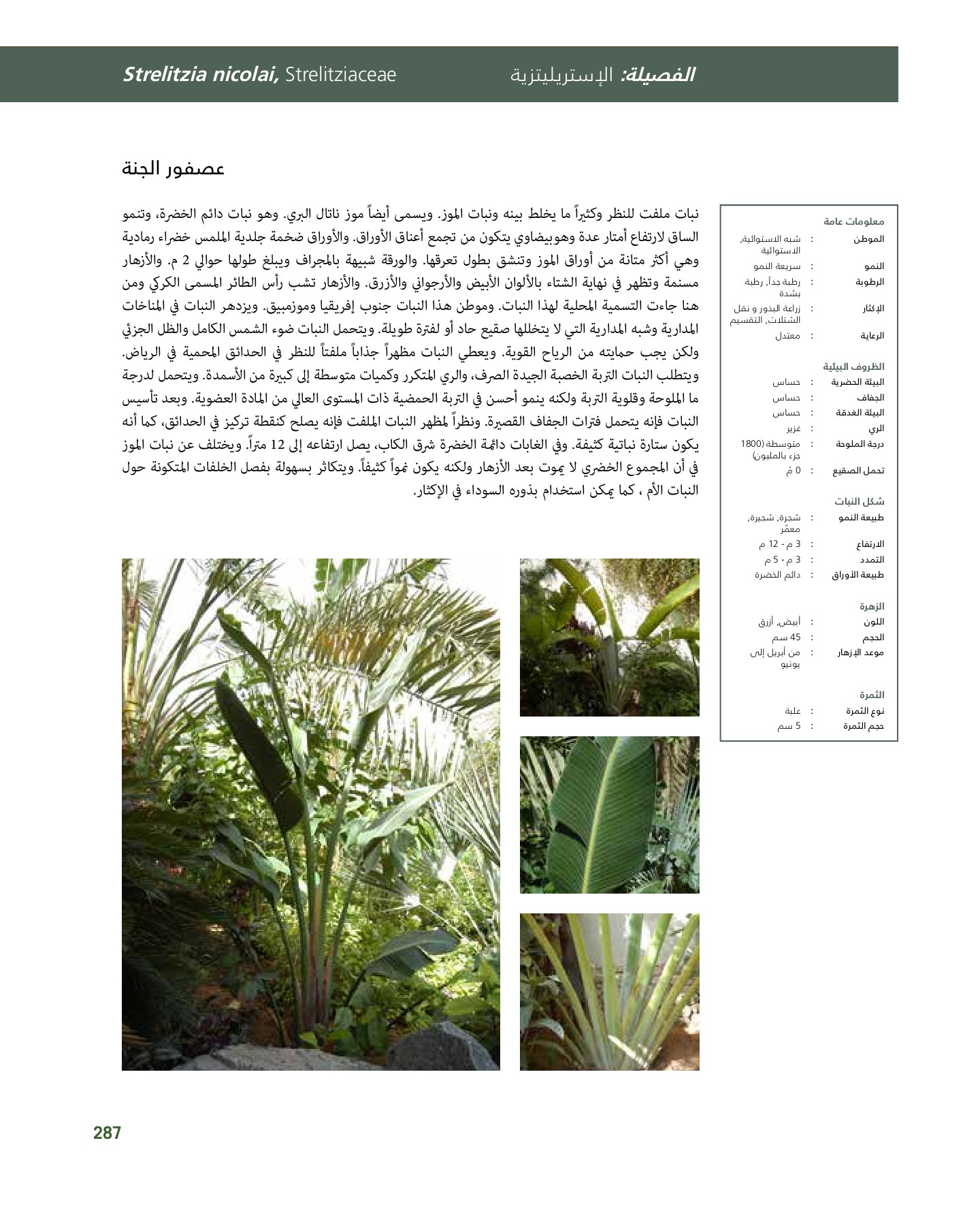 RiyadhPlantsManualAr Ci Oy الصفحة 288 PDF على الإنترنت