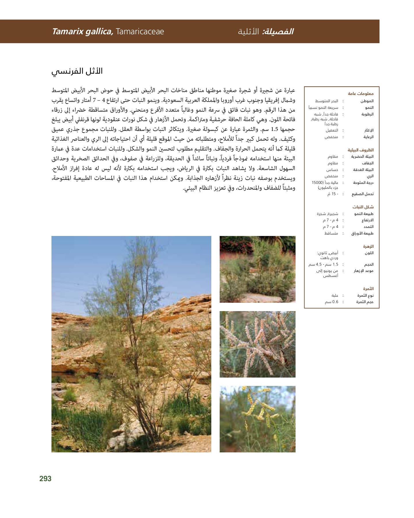 RiyadhPlantsManualAr Ci Oy الصفحة 294 PDF على الإنترنت