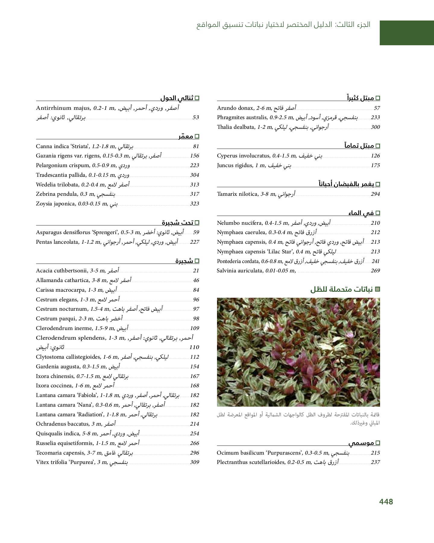 RiyadhPlantsManualAr Ci Oy الصفحة 449 PDF على الإنترنت