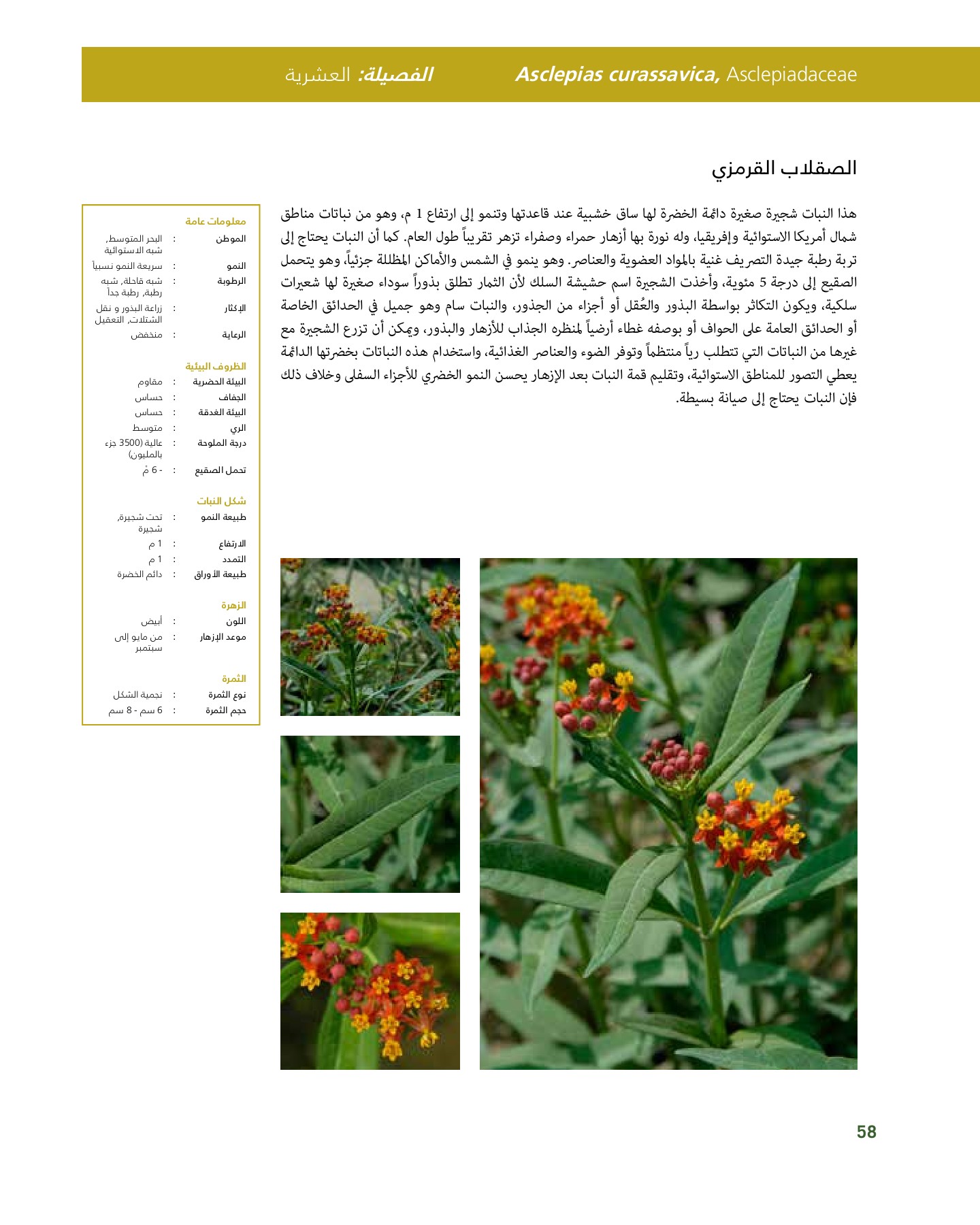 RiyadhPlantsManualAr Ci Oy الصفحة 59 PDF على الإنترنت