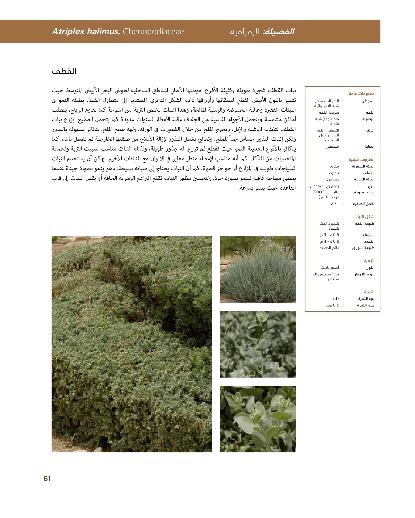 RiyadhPlantsManualAr Ci Oy الصفحة 62 PDF على الإنترنت