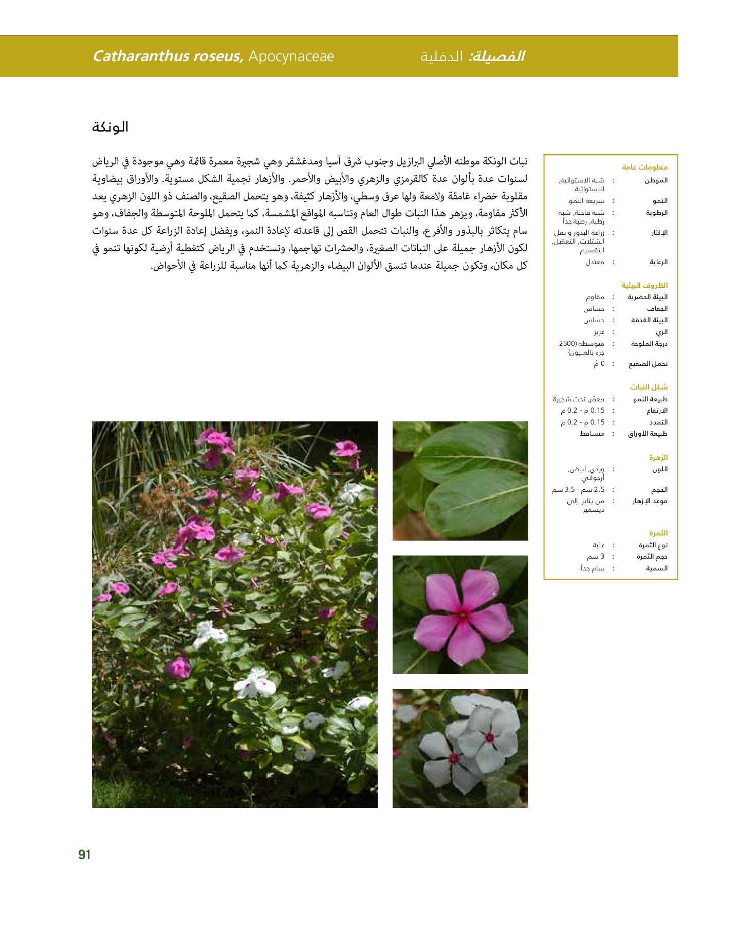 RiyadhPlantsManualAr Ci Oy الصفحة 92 PDF على الإنترنت